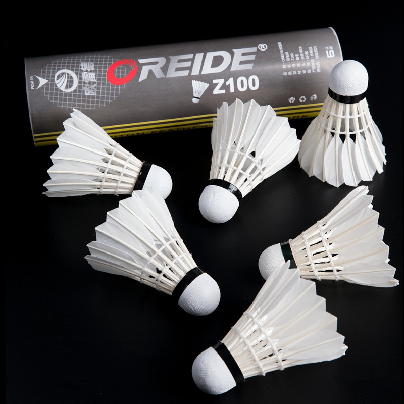6pcs Shuttlecocks Badminton Training Stabilization Good Wind Resistance