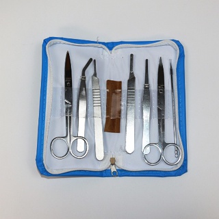 Animal Dissection Kit, Instrument Tools, Biological Tool, Tools  Taxidermy