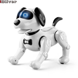 Remote Control Robot Dog Toy for Kids, Programmable Robotic Puppy, Smart  Interactive Stunt Robot Dog Toy for Kids 3-8 Year Gift