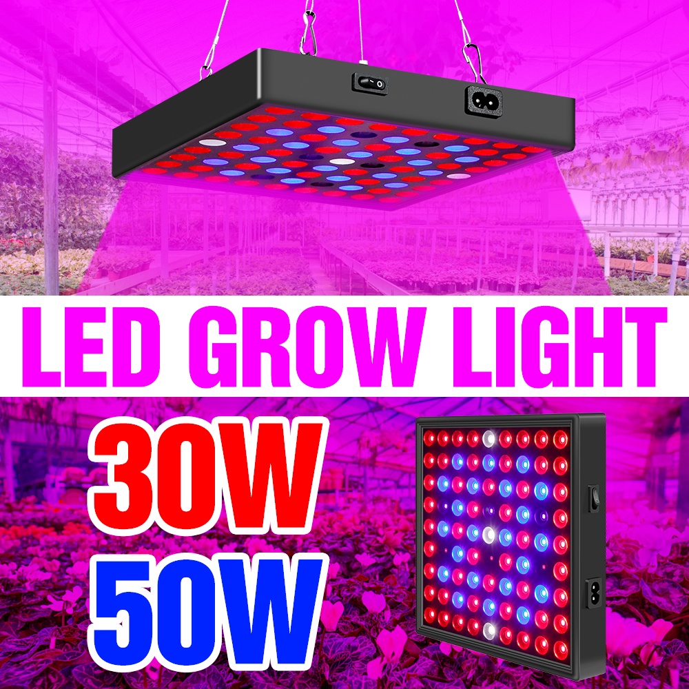 LED Plant Panel Light 220V Full Spectrum Hydroponics Grow Lights For ...