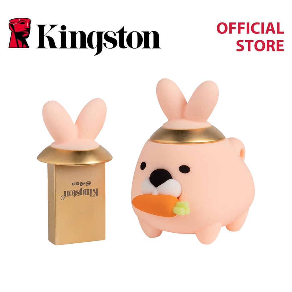 Kingston Mini Rabbit 64GB USB 3.2 Gen 1 Series USB Flash Drive (DTCNY23 ...