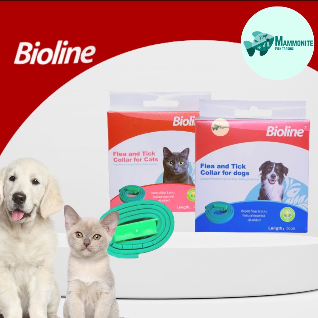 Bioline Flea and Tick Collar for Dog and Cat 35cm 60cm Natural Tick and