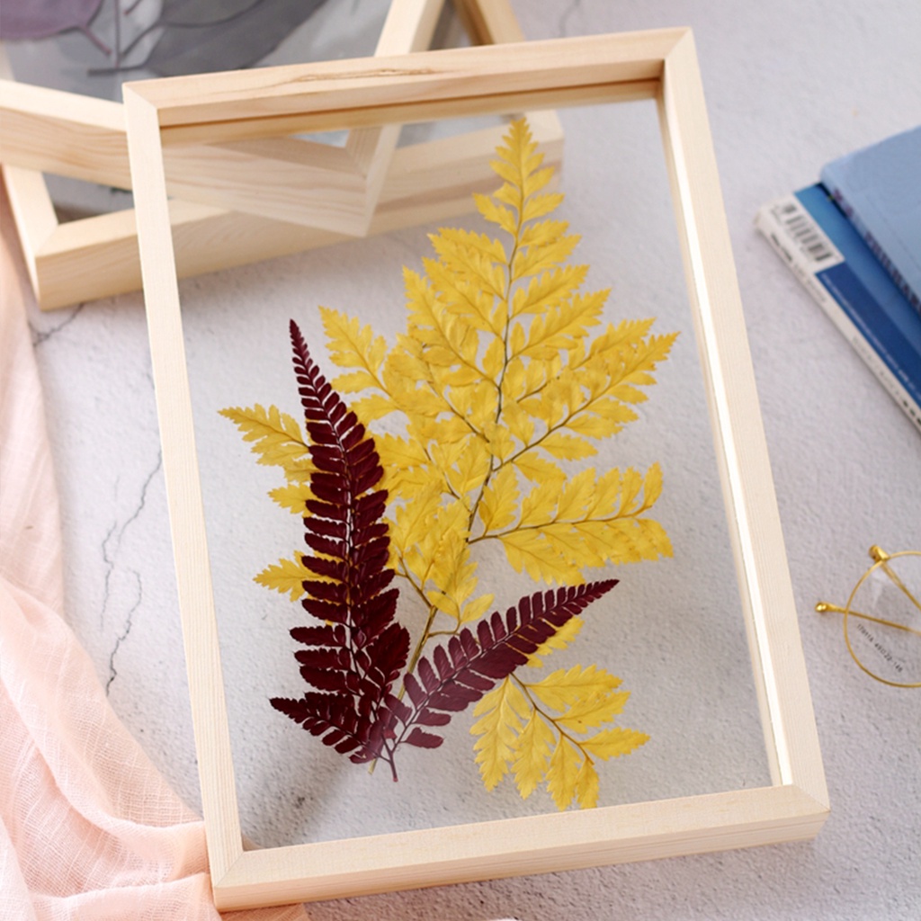 Plant Specimen Frame Wooden Specimen Frame | Shopee Philippines