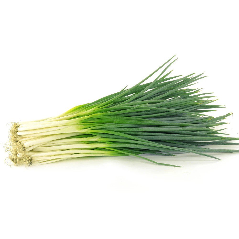 Onion leaf seed/spring onion seed (100 seeds) XA3O Shopee Philippines