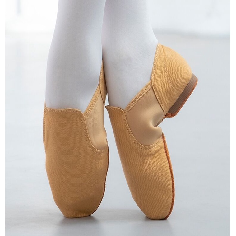 Ready Stock High Quality Canvas Dance Shoes Female Adult Low Top Soft Soled Jazz Latin Ethnic Inner Outer Practice Ballet Yoga C Shopee Philippines