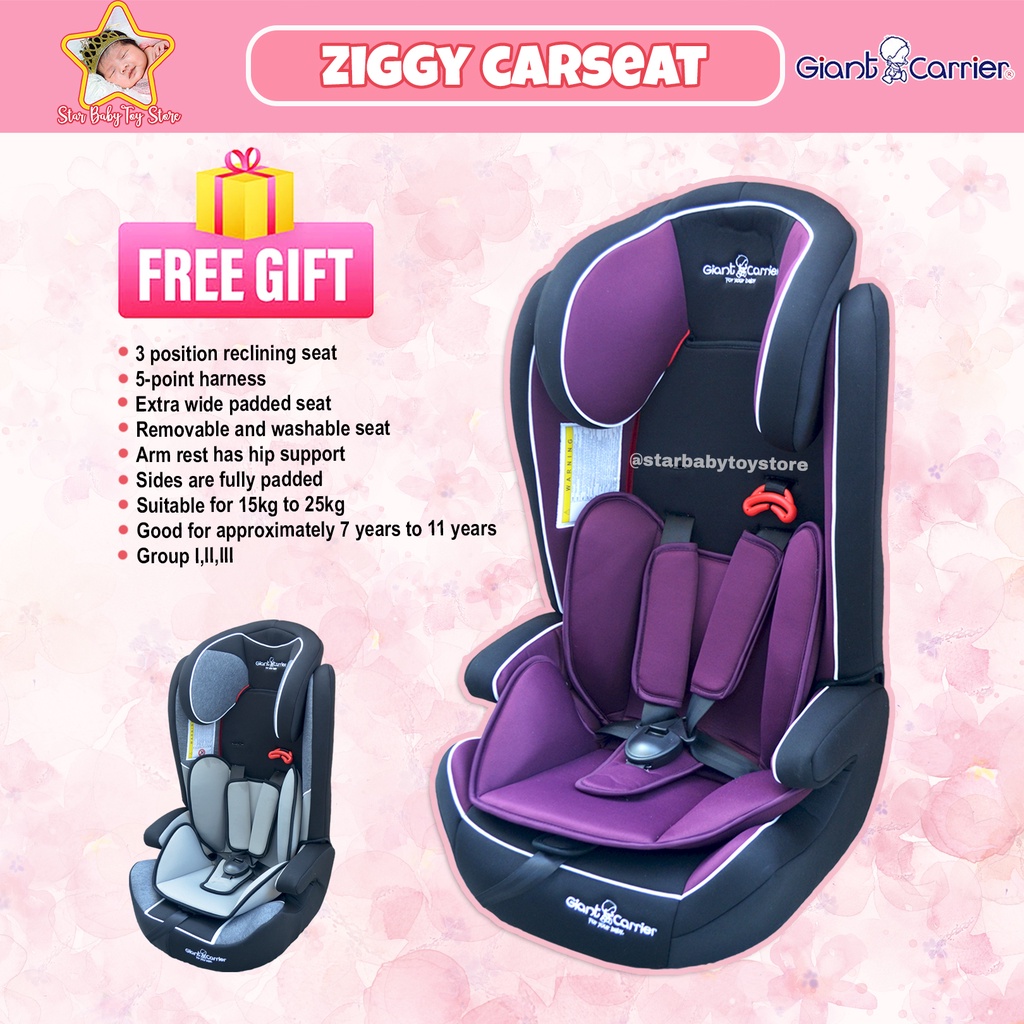 Giant carrier 2024 car seat