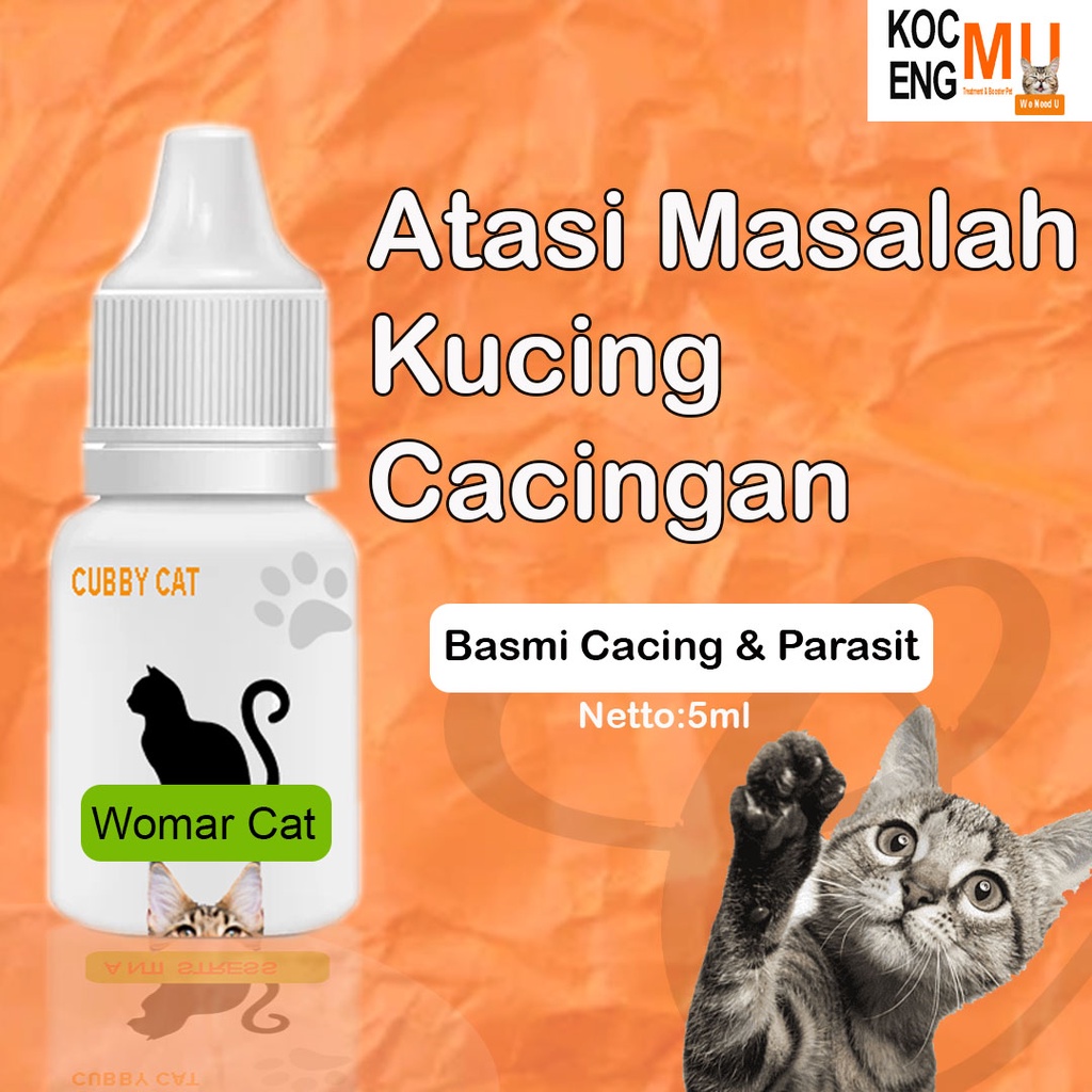 Cat Worm Medicine Cat Worm Medicine Kitter Effective Drops Cubbycat