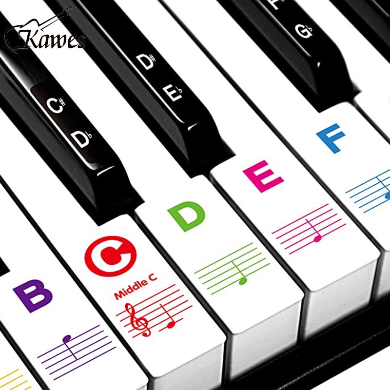 Piano Keyboard Stickers Key Piano Sticker For Beginners Notes Notation ...