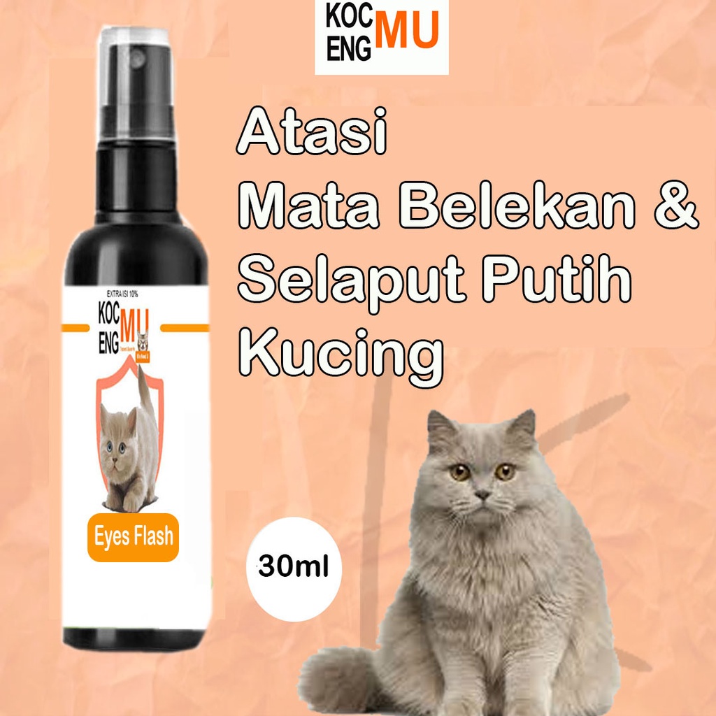 MATA Cat Eye Medicine Cat Eye Medicine Cat Eye Pain Spray Kocengmu