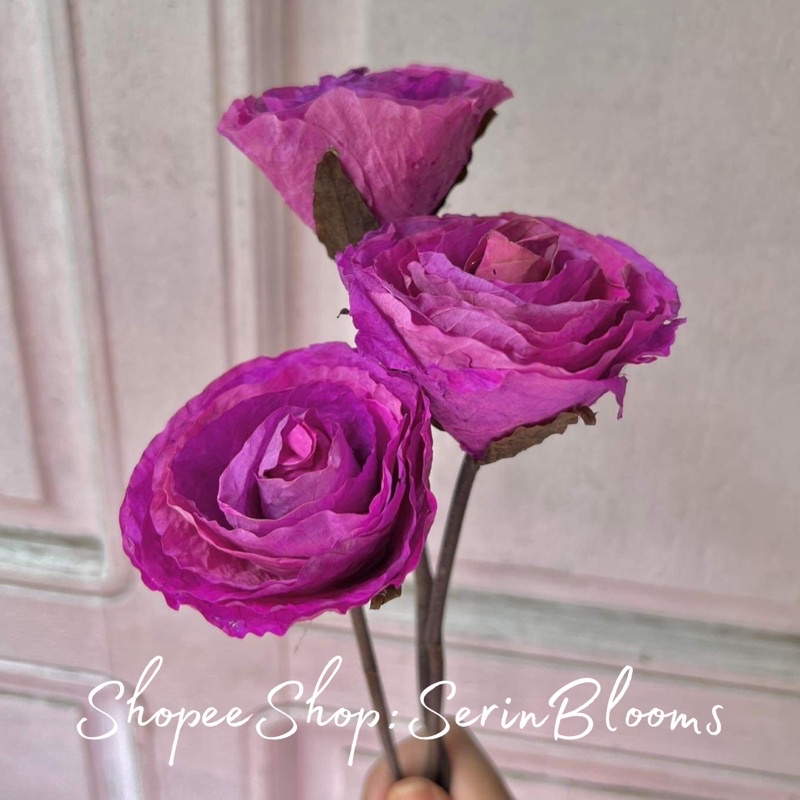 Fossilized Rose (Petite)sold per piece 4-5cm | Shopee Philippines
