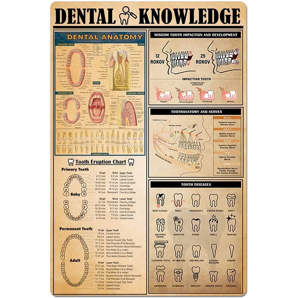 Dental Knowledge Canvas Poster Unframed Art Prints Medical Wall Art ...