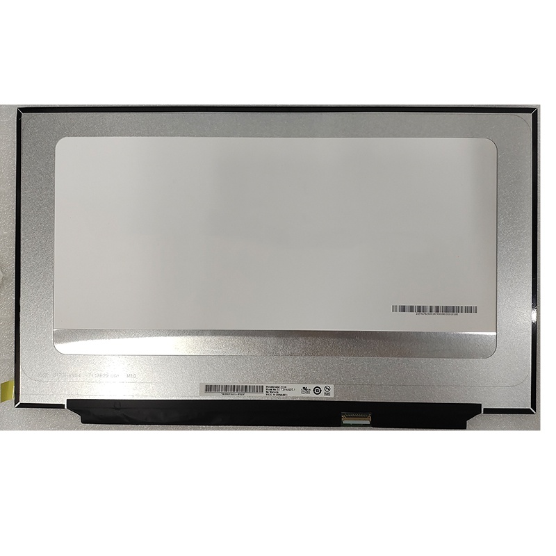 Dalle écran B173HAN05.4 17.3" FHD IPS 300Hz - Écran LCD LED, Neuf