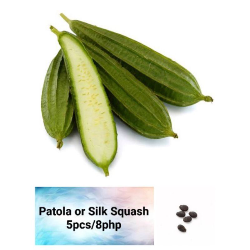 Vegetable & Fruit Seeds (Lettuce,Pepper,Tomato,Eggplant,Pechay ...
