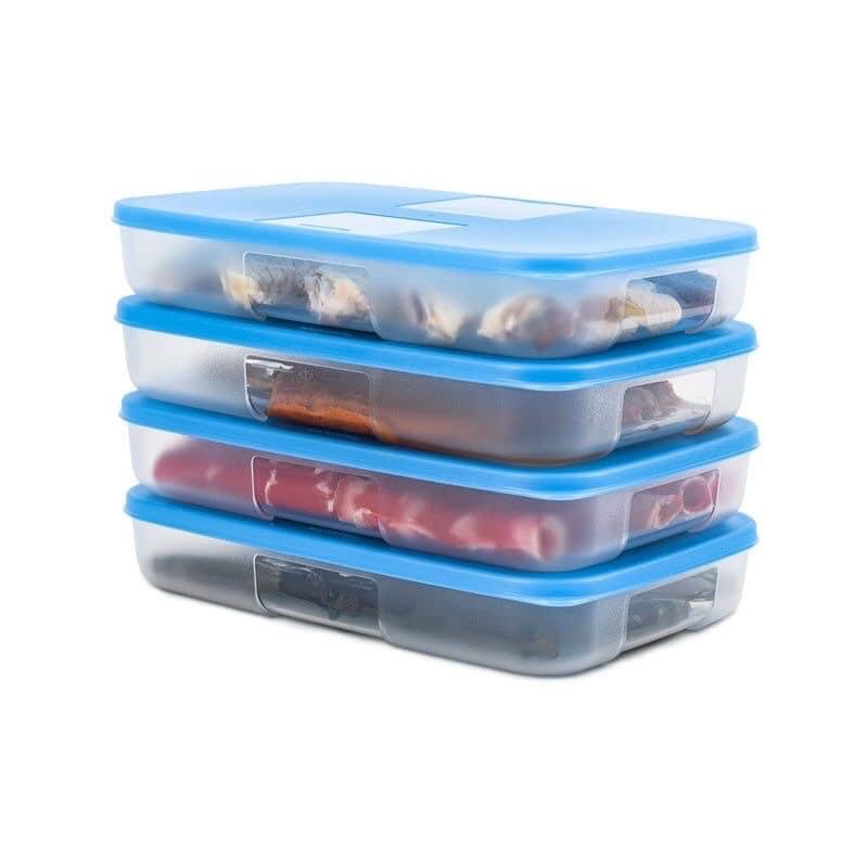 Set Of 4 Supperware Freezer Boxes 650ML And 1.3L Flat | Shopee Philippines