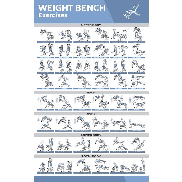 Printable Weight Bench Workouts Printable Home Gym Workout