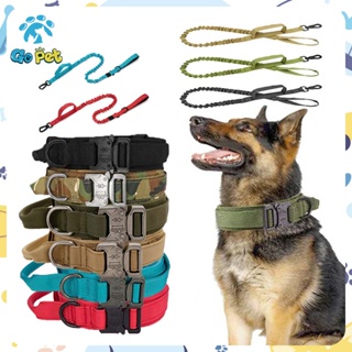 German shepherd 2024 military collar