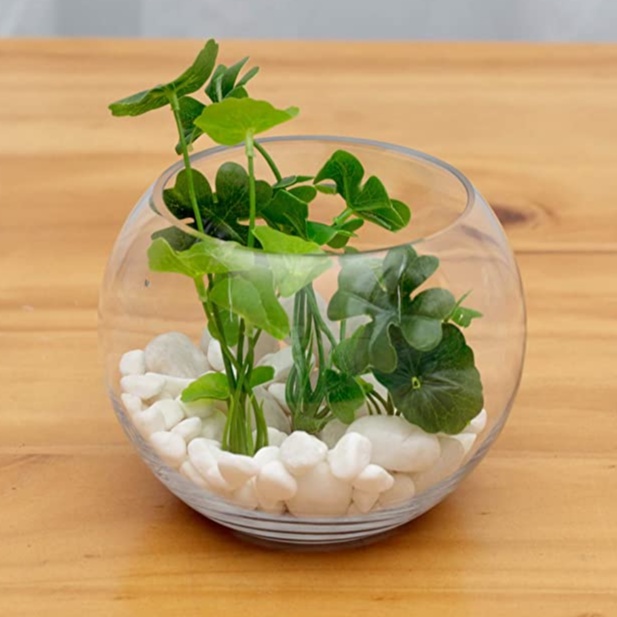Crystal Clear Fish Bowl Vase Glass Round Bowl Terrarium Vase