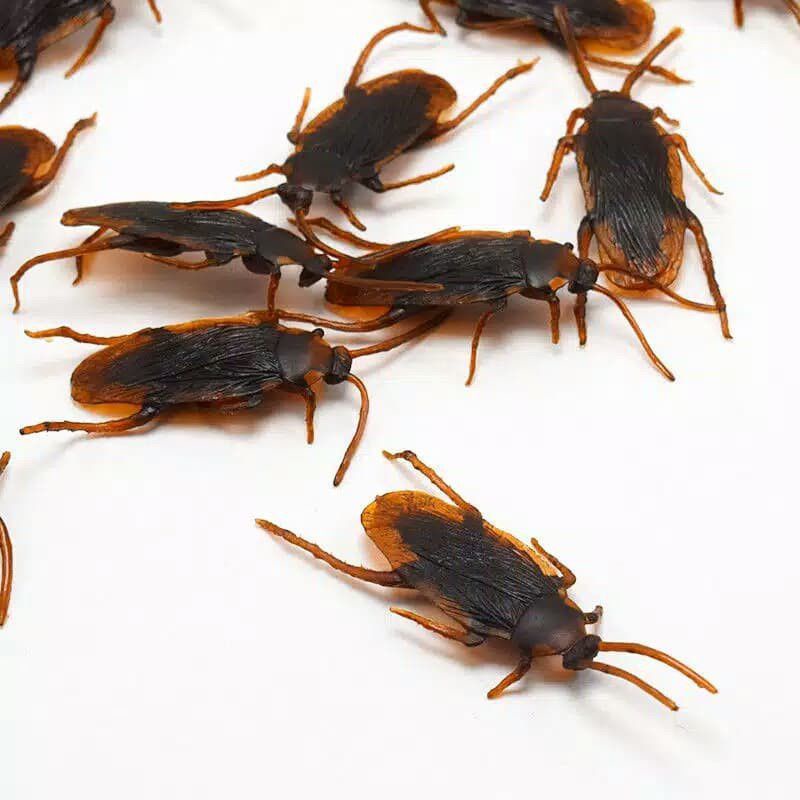 1 Sheet Of Insect Prank Toys 20pcs | Shopee Philippines