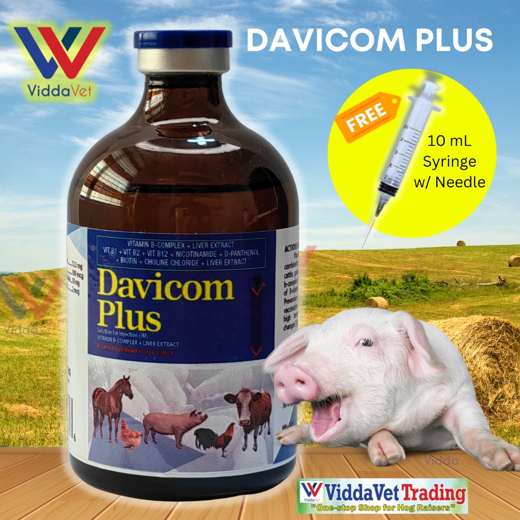 Viddavet 100 ml Davicom plus B-complex + Liver Extract free syringe 100 ...