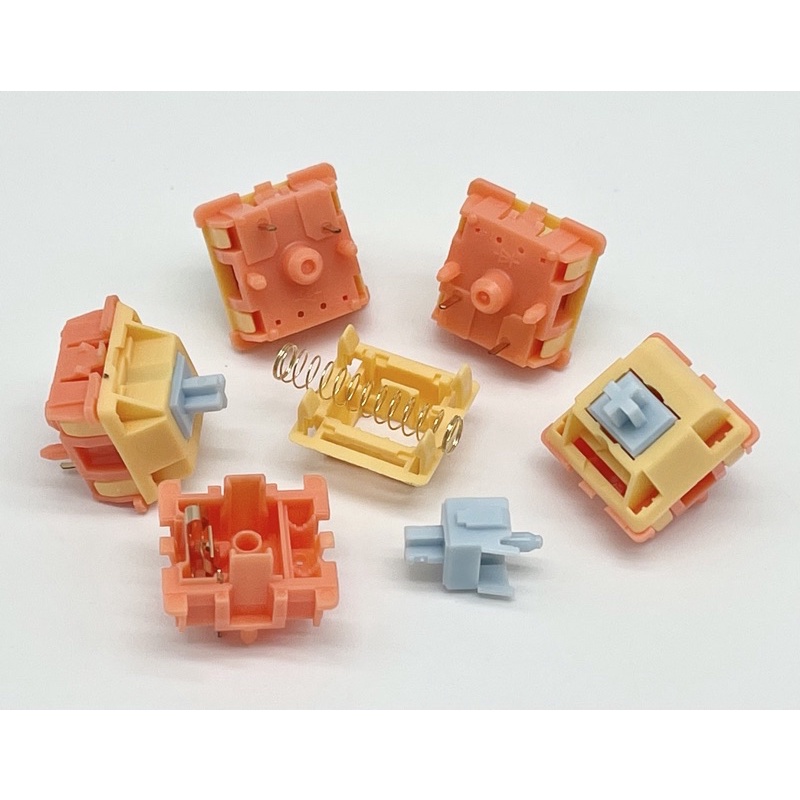 Autumn Rain Switches (10pcs) Shopee Philippines