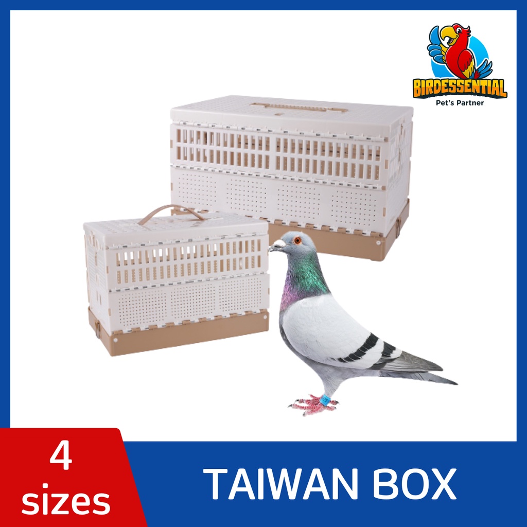 Taiwan Training Box for Pigeon Foldable Plastic (Taiwan Box) Small and