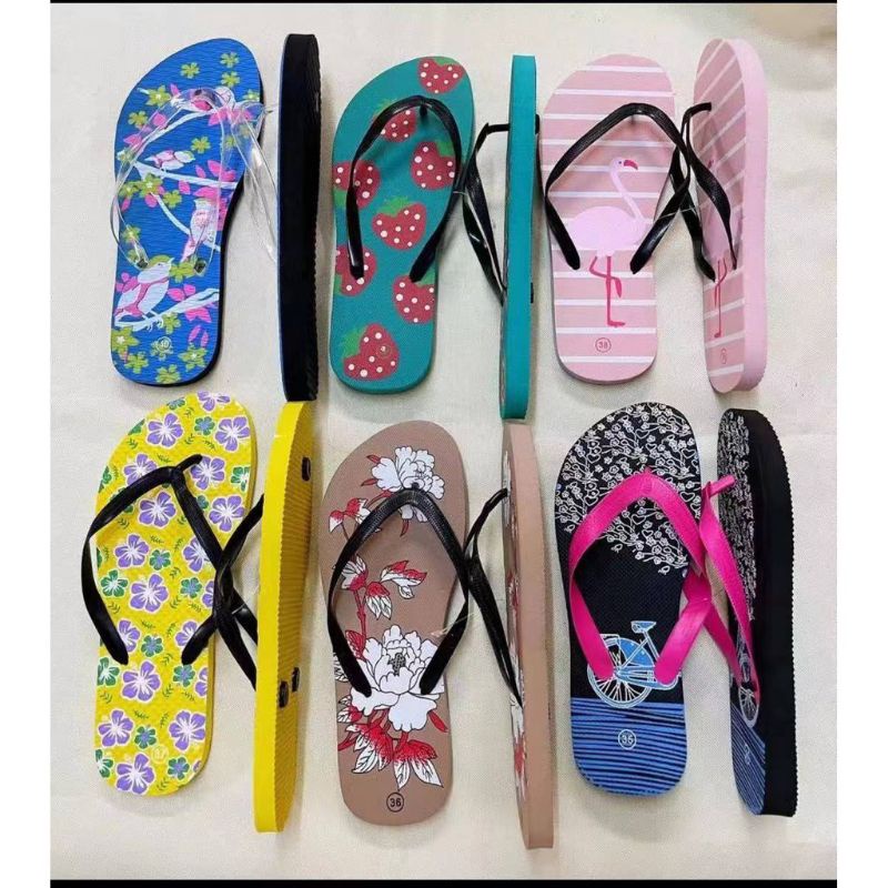 Basic Slipper