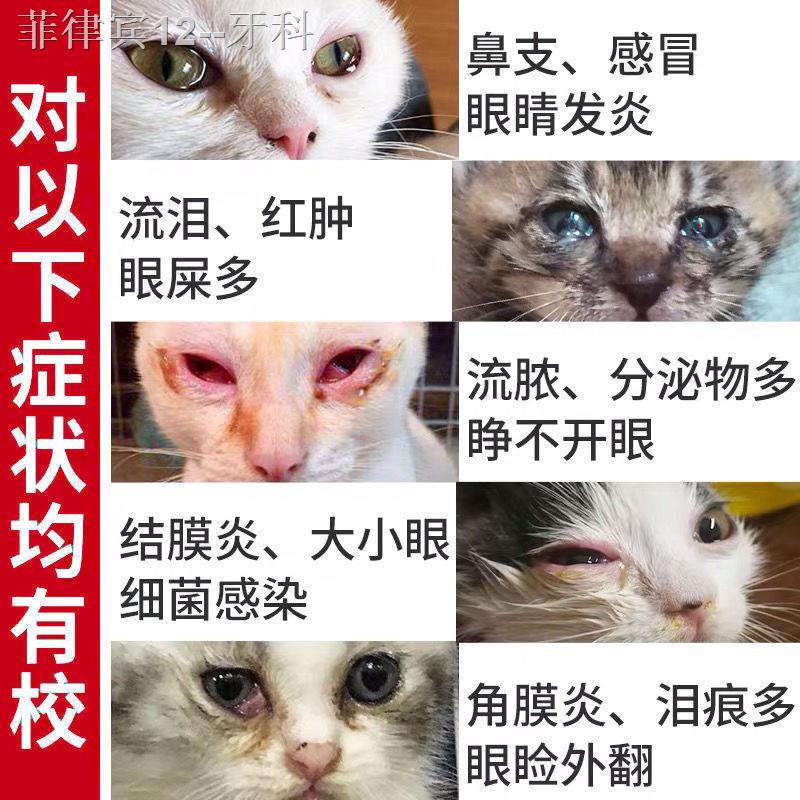 Eye dropsCat nasal branch pet cold cough cat eye drops conjunctivitis