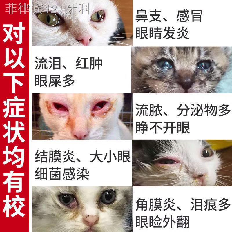 Eye dropsCat nasal branch pet cold cough cat eye drops conjunctivitis ...