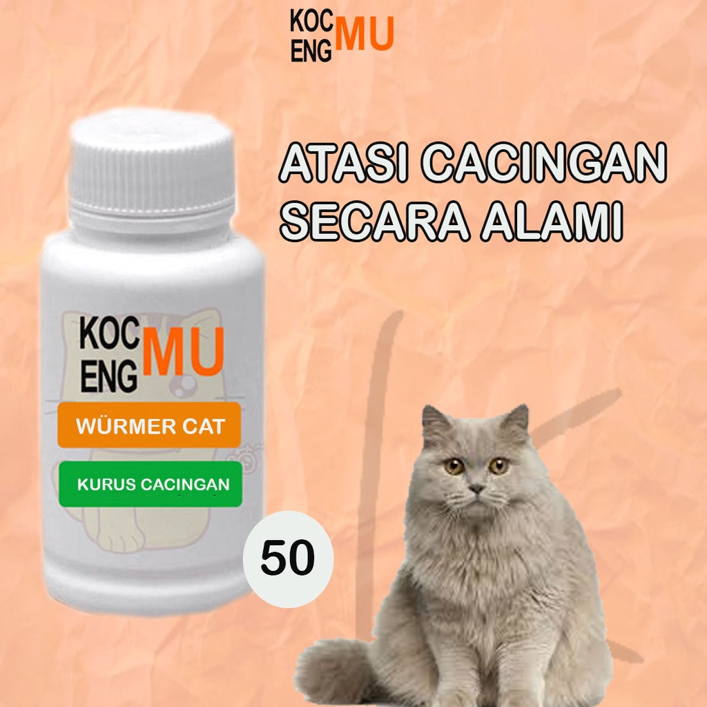 Cat Worm Medicine Cat Worm Medicine Kitter Effective Liquid Pregnant
