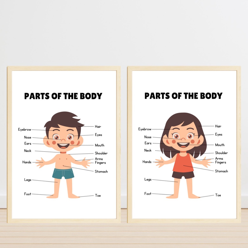 BODY PARTS Laminated Educational Wall Charts and Posters for Kids and ...