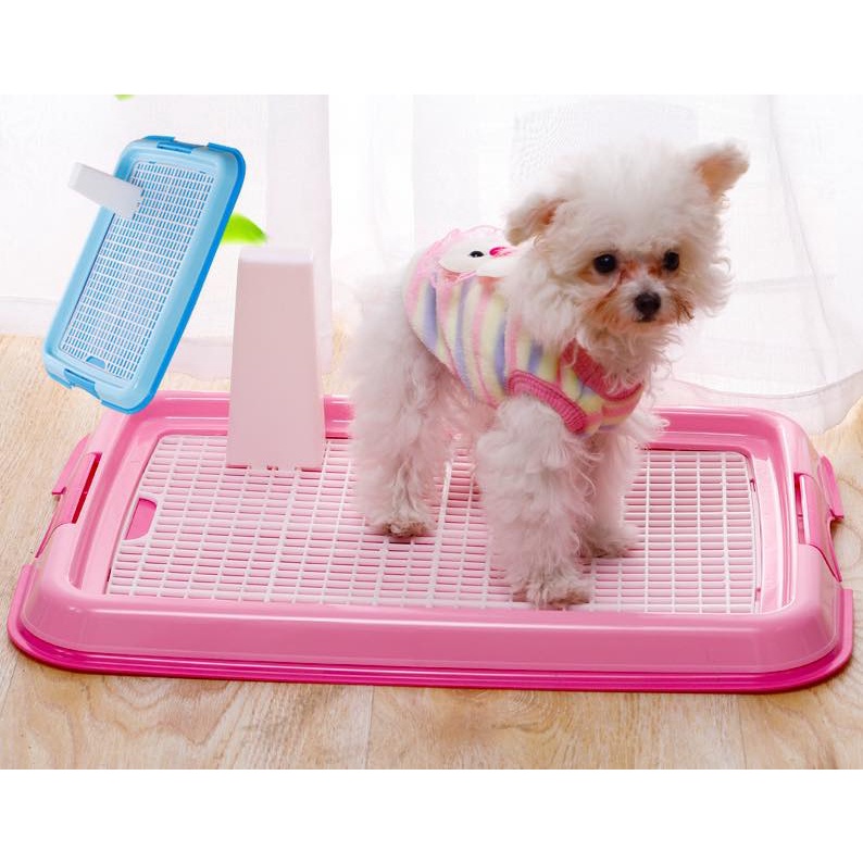 Potty Spray Training Dog 50ml Pet Defecation inducer Pet Dog Pee
