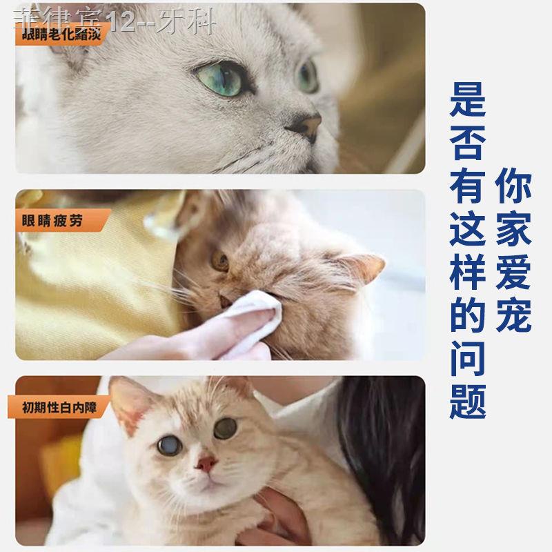 Eye drops[Imported from Japan] Pet cataract eye drops, dog eye drops