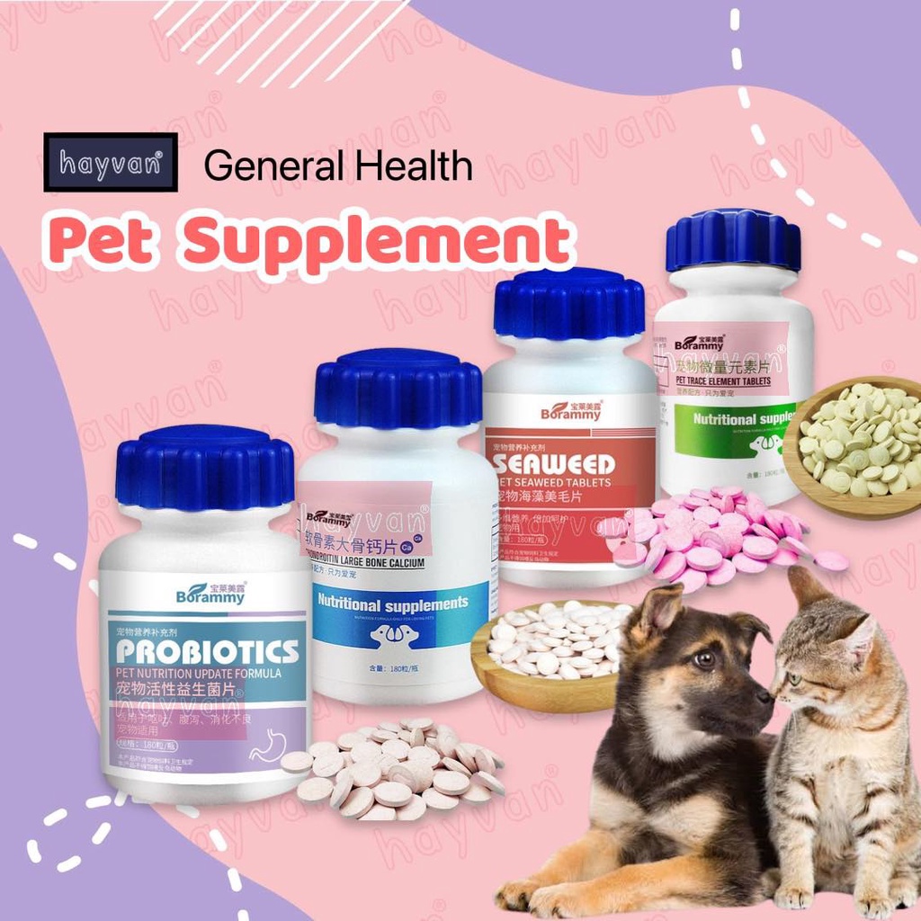PET Supplement Dog Vitamin Supplement Cat Digestive Probiotic Chewable