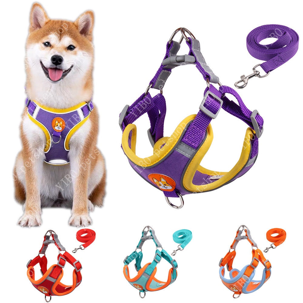 Harness Collar Types Dog Best Dog Harnesses Of 2025, Reviewed By