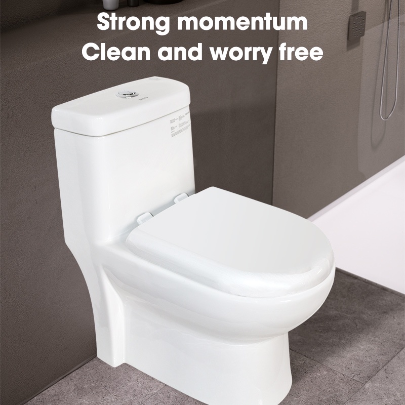 Bathroom Flush Toilet Modern Toilet /Ceramic Toilet Dual flush