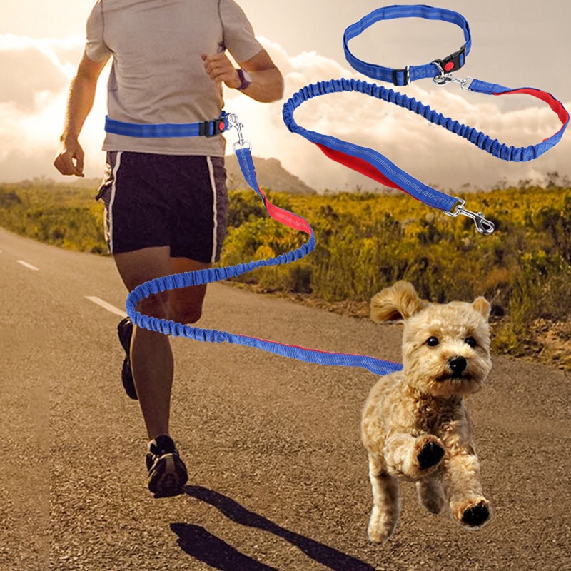 Hands Free Running Dog Lead, Adjustable Waist Belt Perfect for