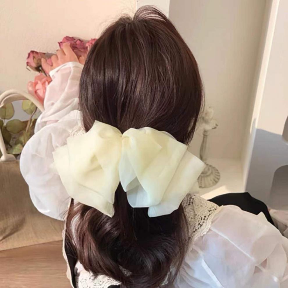 Net celebrity 2022 new senior sense hairpin back head oversized bow