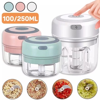 4in1 mini electric food chopper, small food processor rechargable for  garlic, puree, onion, herb, veggie, ginger, fruit blender