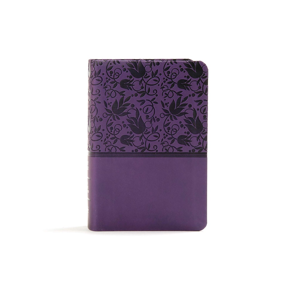 King James Version (KJV) Large Print Compact Reference Bible ...