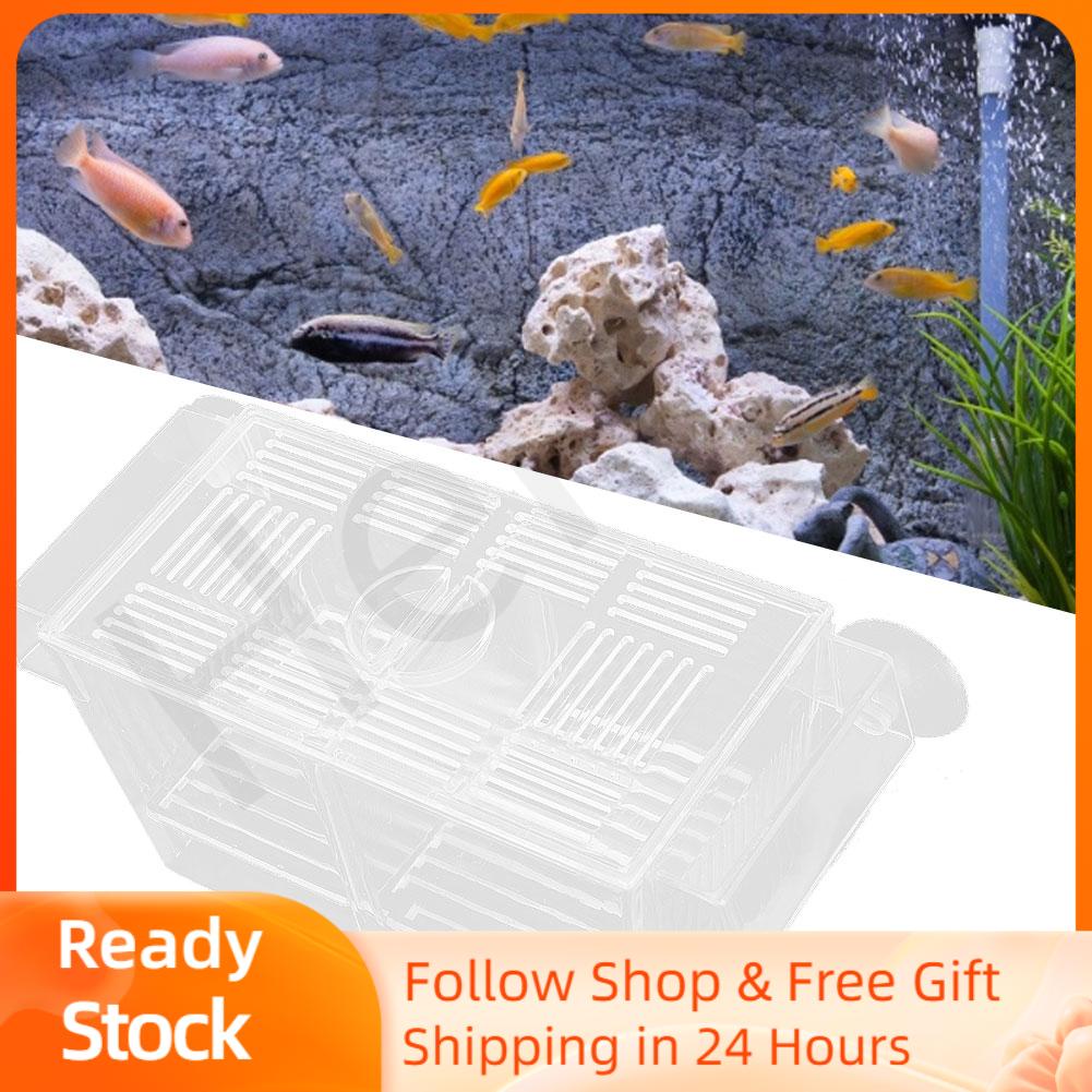 Henye Plastic Fish Breeding Isolation Box Aquarium Tank Hatchery
