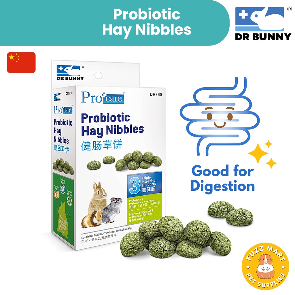 Dr. Bunny Probiotic Hay Nibbles (60g) Treats for Guinea Pig and Rabbit ...