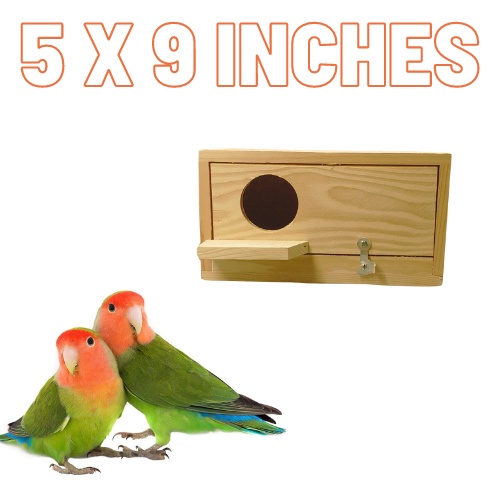 The Bird Shop PH Wooden Bird Nest box SMALL size Parrot Accessories ...