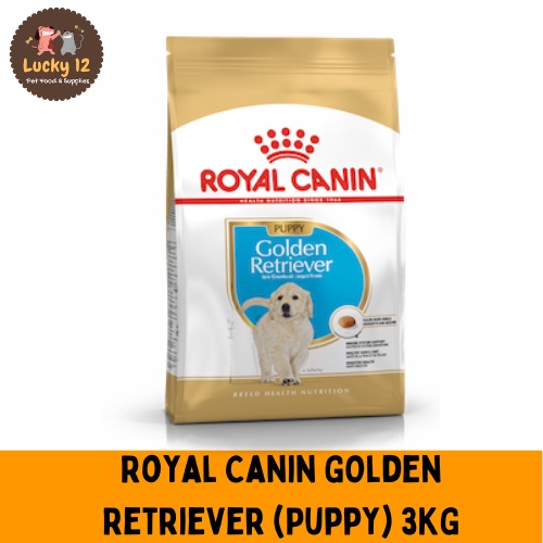 Golden retriever royal canin puppy hotsell