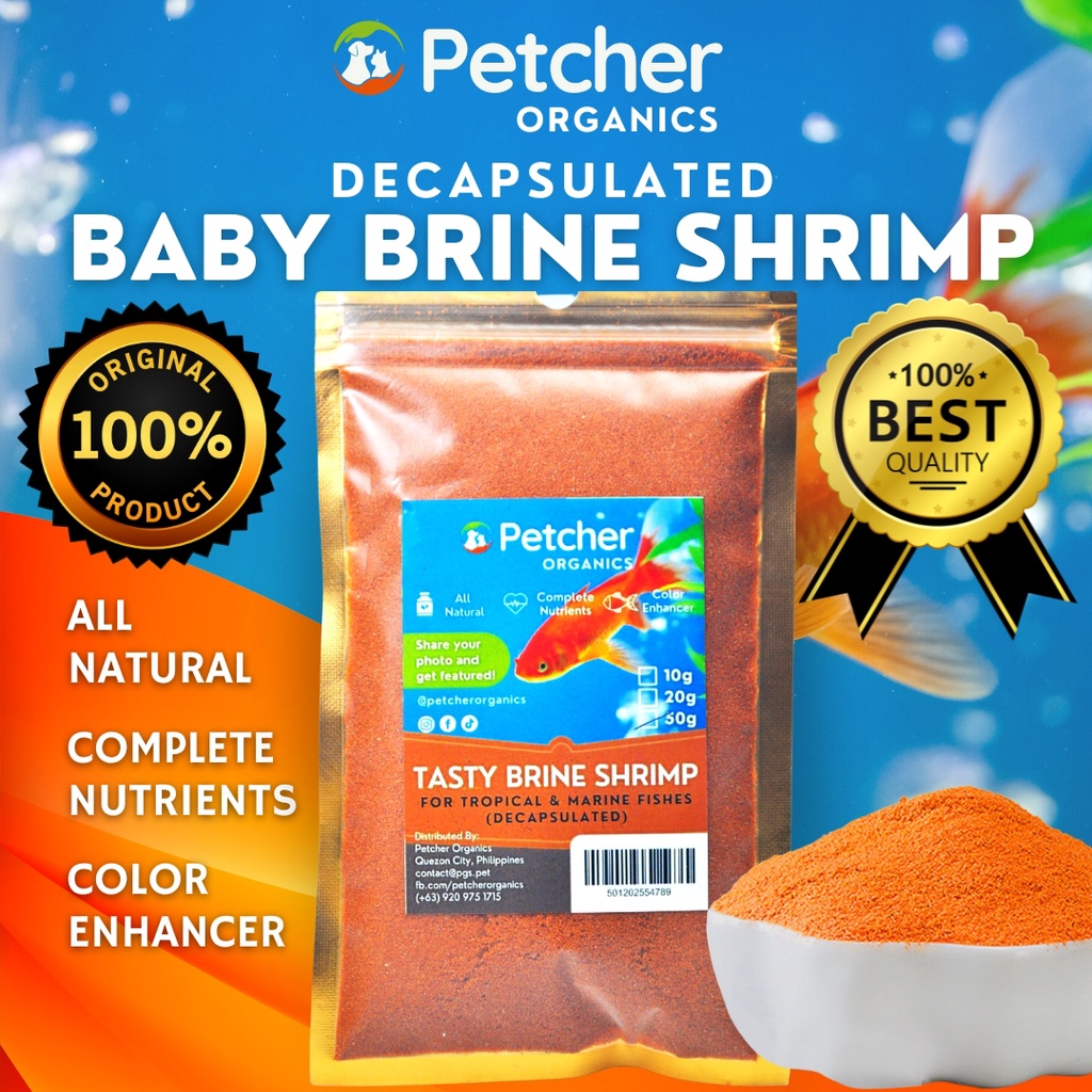 Petcher Baby Brine Shrimp BBS Decapsulated Brine Shrimp Egg Direct Feed