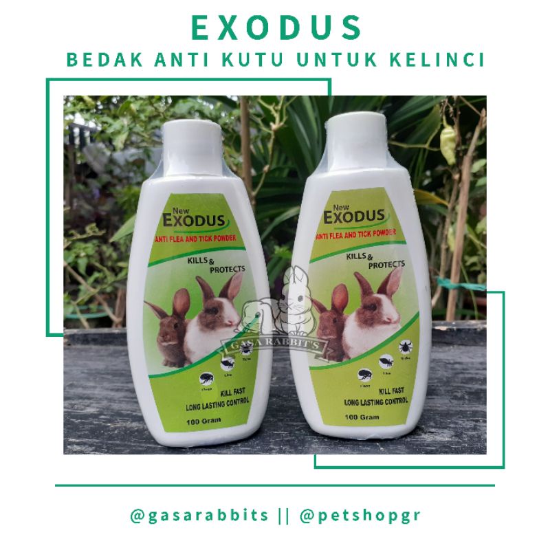Rabbit EXODUS Powder - EXODUS ANTI Rabbit Flea Powder - Rabbit Curse ...