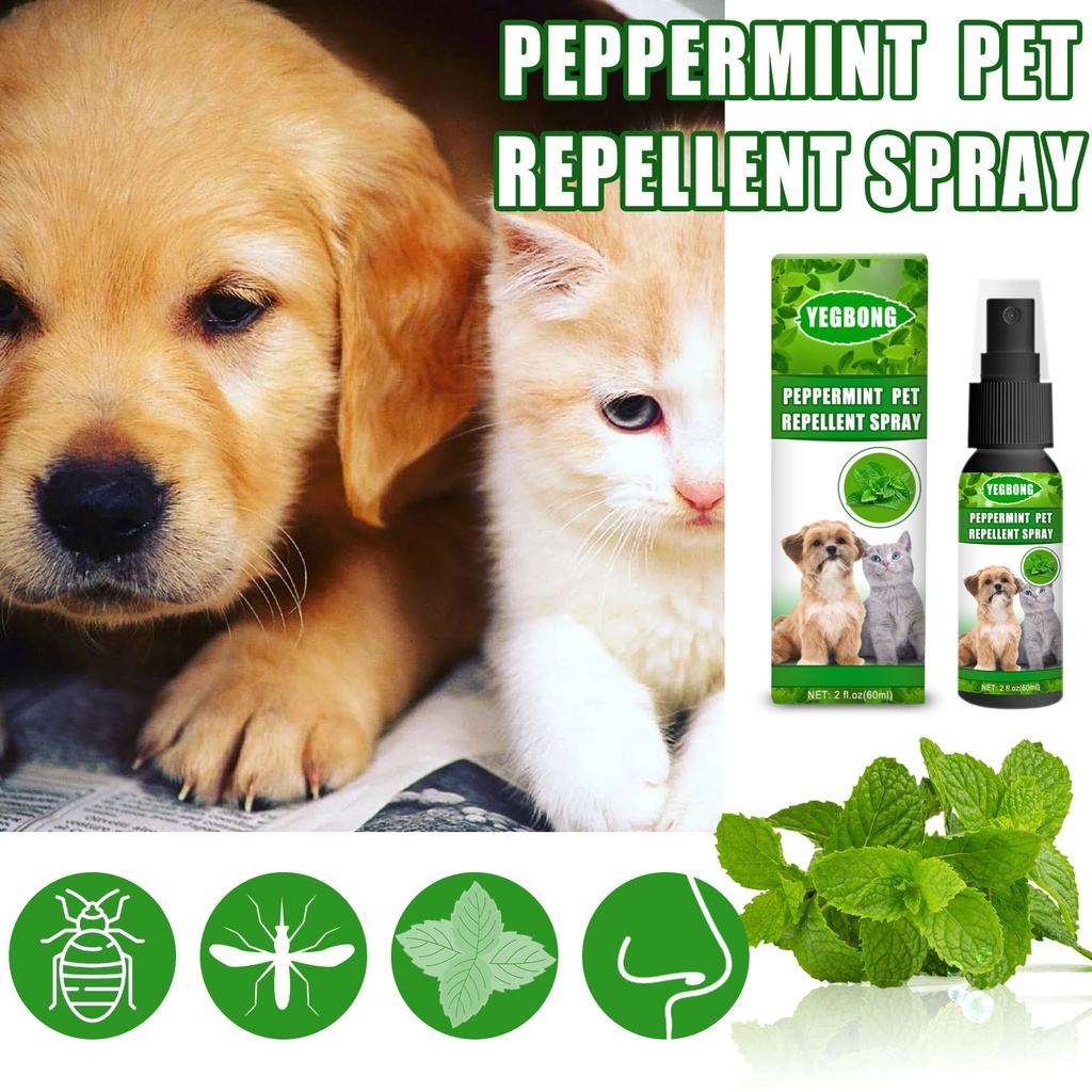 Pet mite removal spray sterilization and mosquito repellent mild and