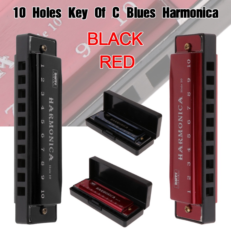 10 Hole Harmonica Mouth Organ Puzzle Musical Instrument Beginner