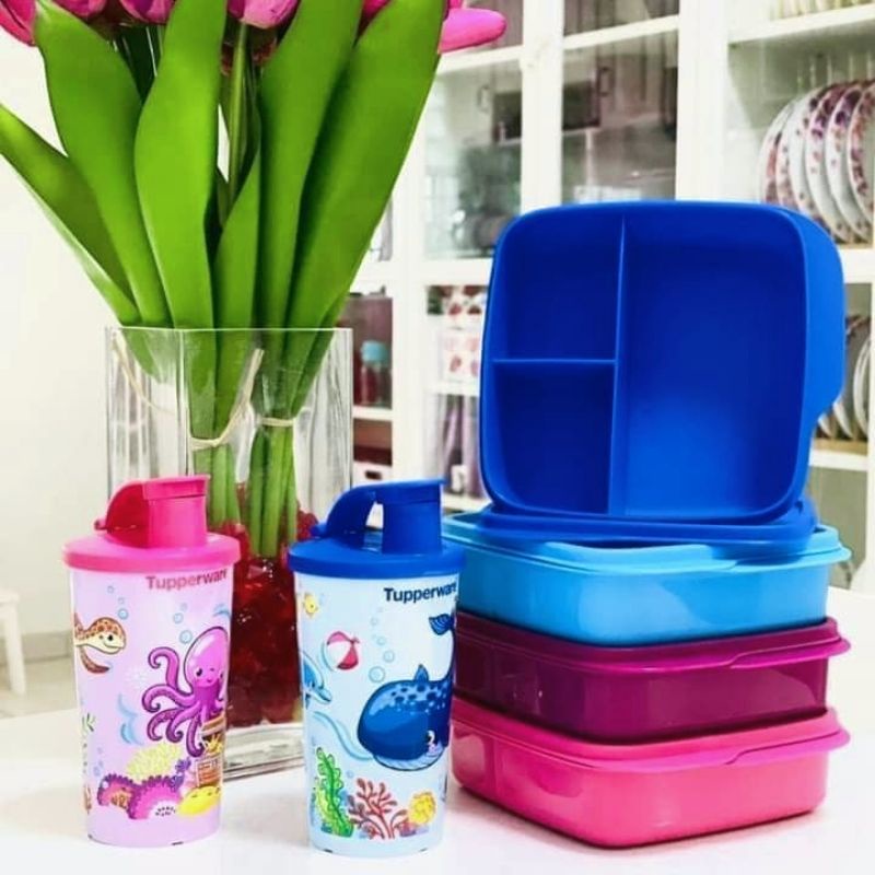 Tupperware Aqua Friend Bento Set ( Lollytup ( 2) + Tumbler) | Shopee ...