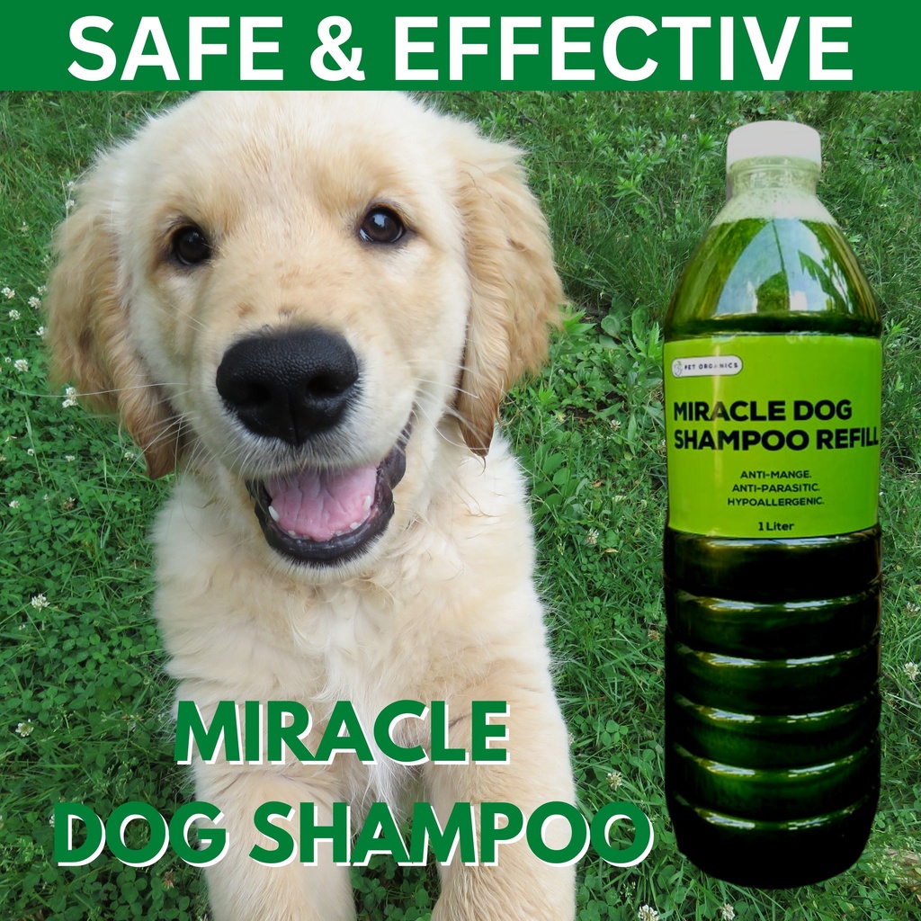 PeT ORGANICS Miracle Dog Shampoo 1 LITER AntiMange AntiParasitic