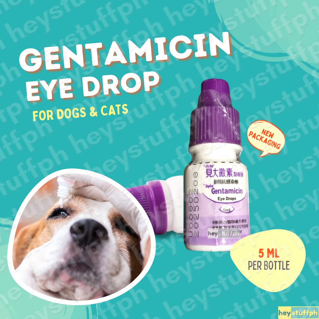 Sinphar Gentamicin Eye Drops For Pets 5ml | Shopee Philippines